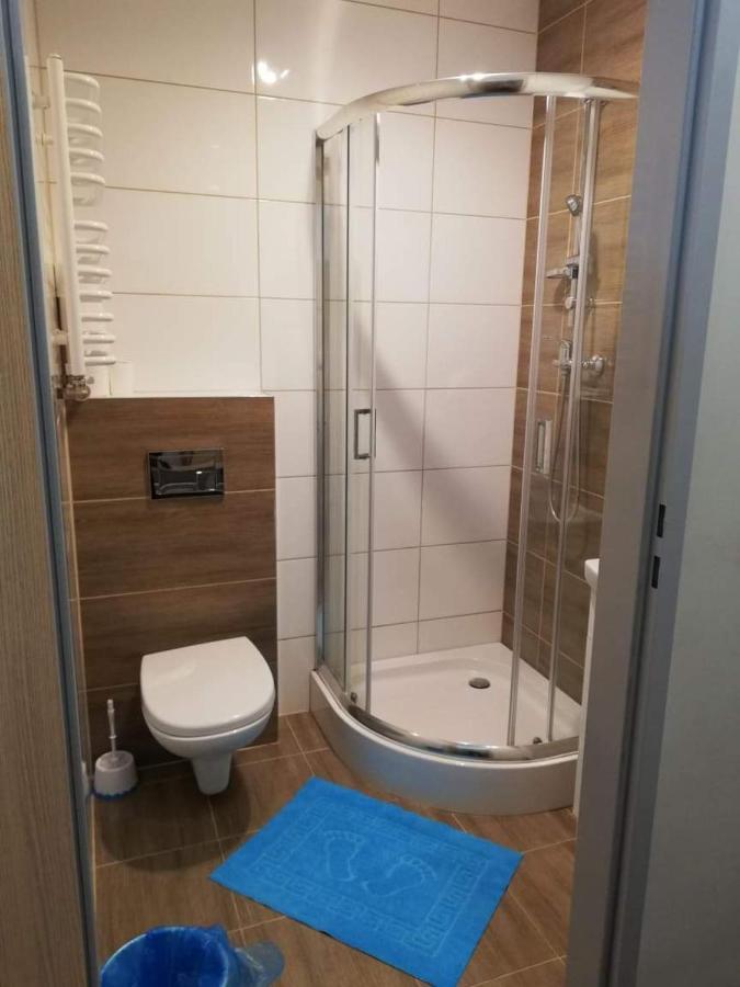 Willa Wiktoria Międzylesie Buitenkant foto